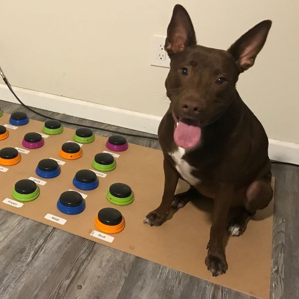Hunger For Words Talking Pet Starter Set – Essentials for Dogs - image 3