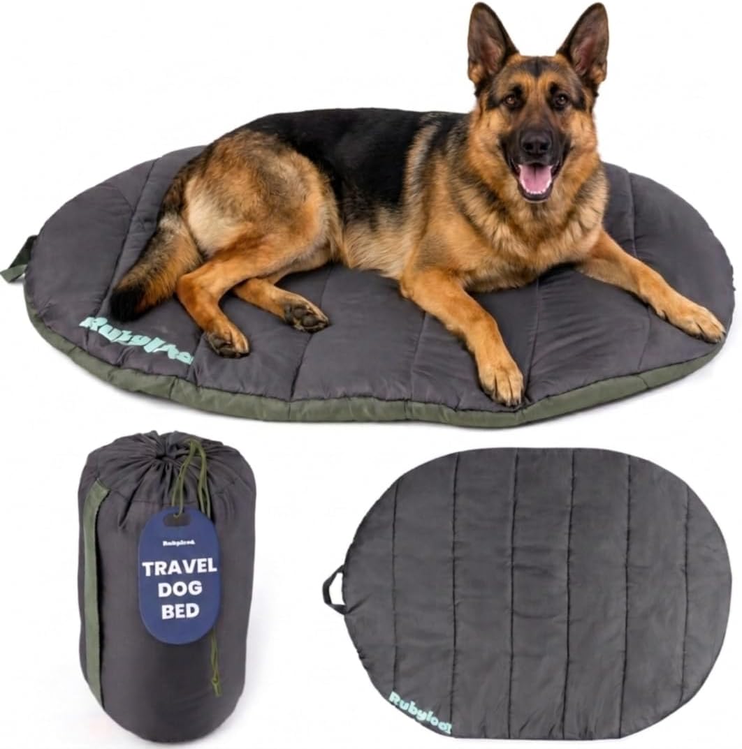 Travel Dog Bed, Foldable & Packable with Carry Bag, Black - Midnight Forest / Large