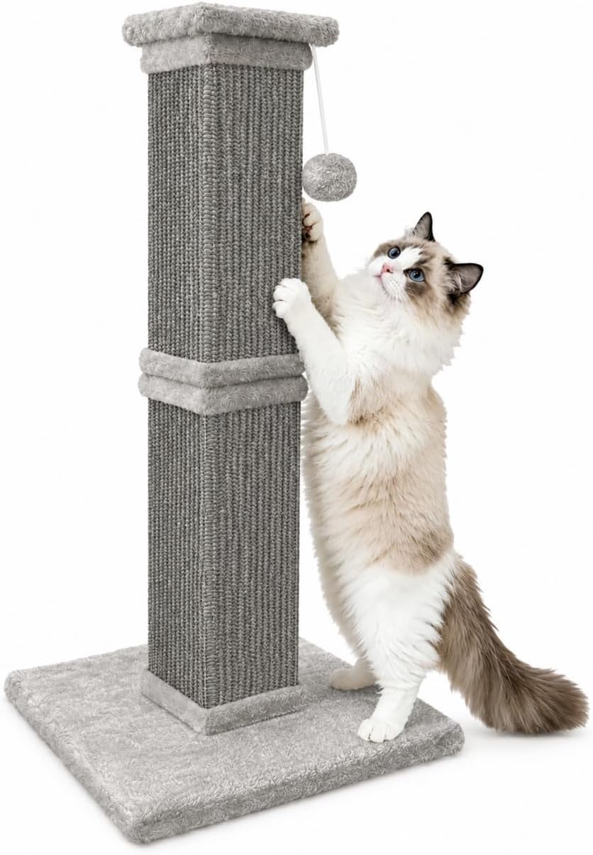 Cat Scratching Post for Indoor Cats - All Grey / Scratcher with Ball