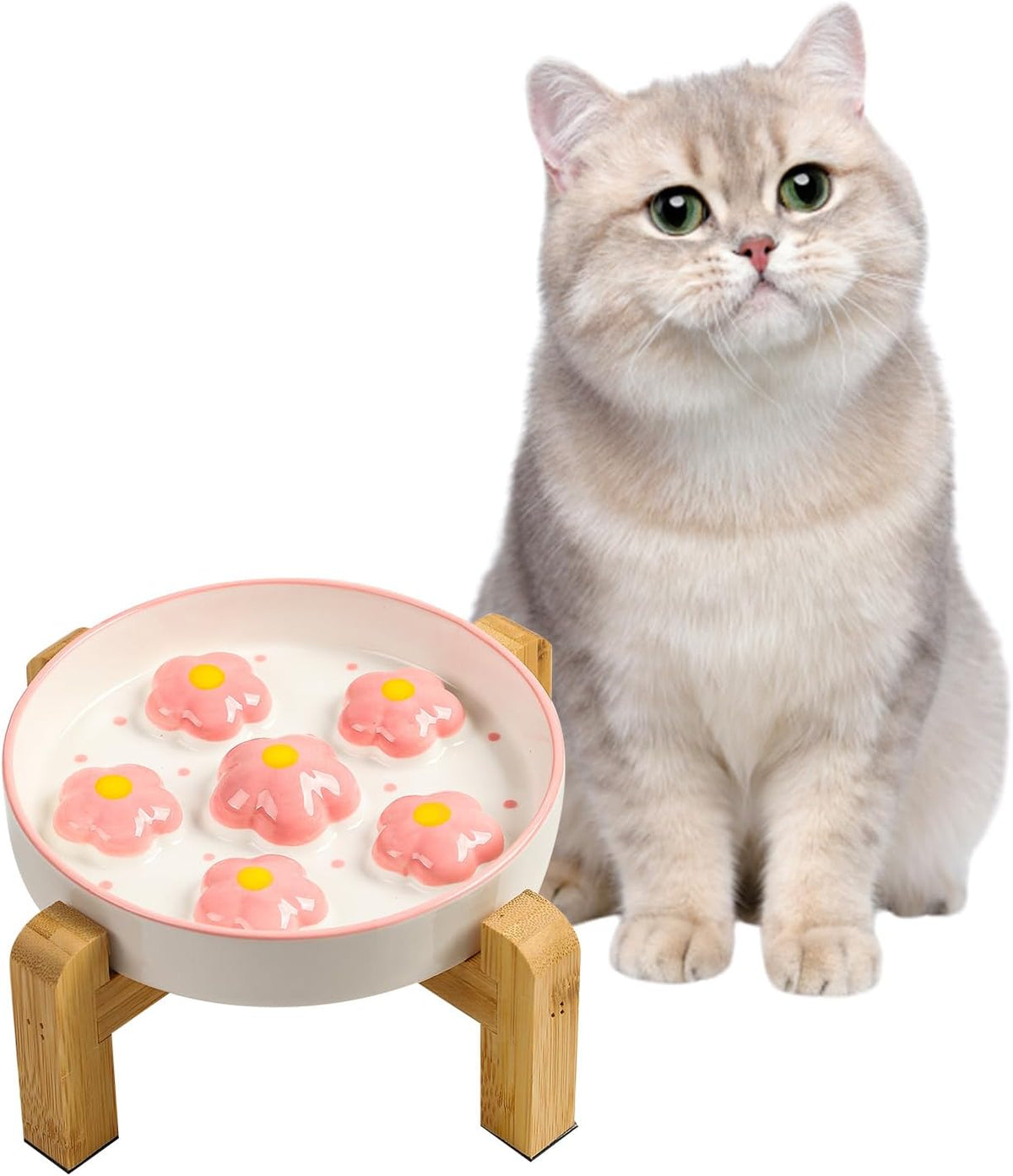 Ceramic Slow Feeder Cat Bowl, 6.3" Whisker Friendly Anti-Vomit - Pink + Stand