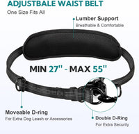 Hands Free Dog Leash for Two Dogs Walking, Running – Essentials for Dogs - Grey-Green / Large - image 3