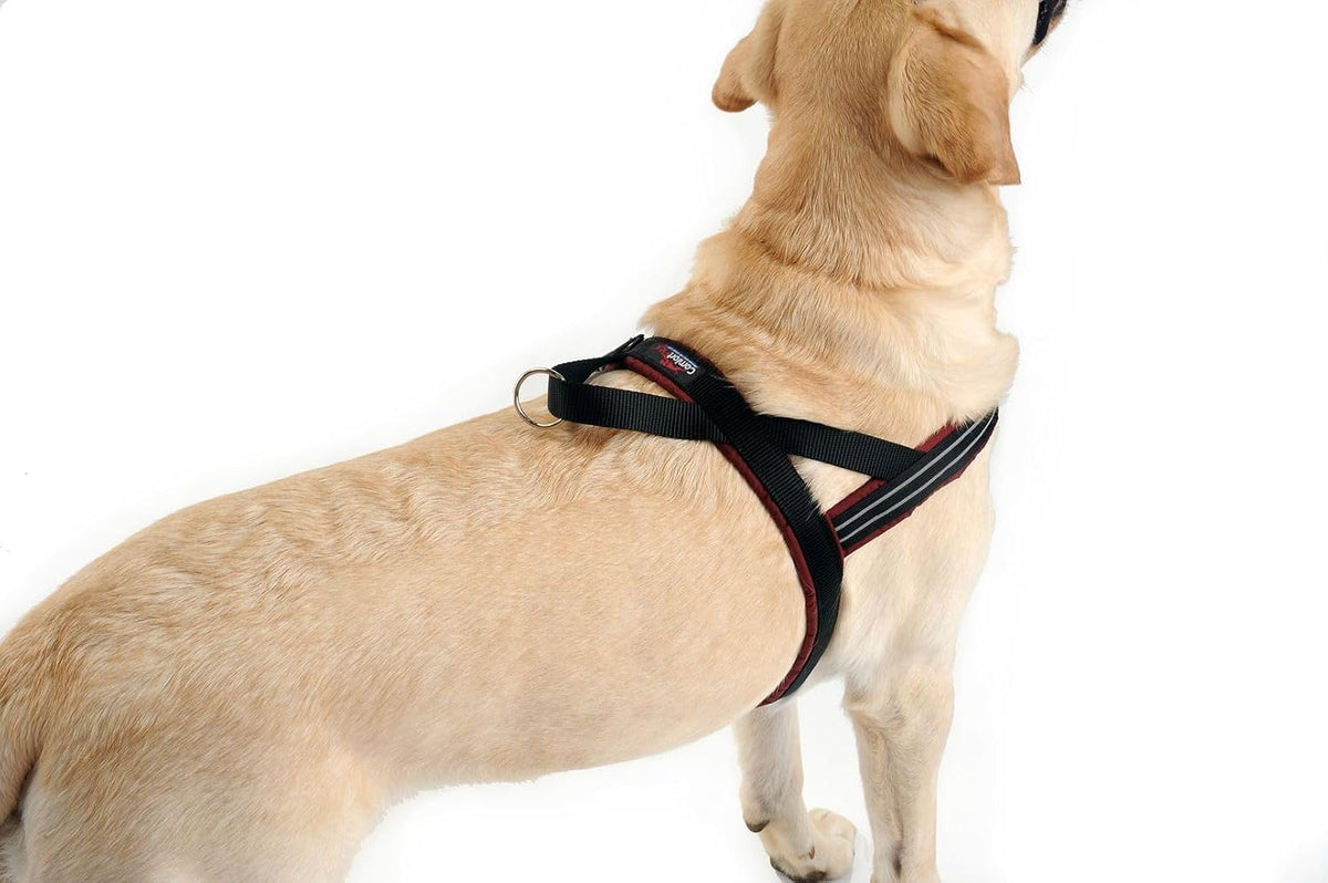 ComfortFlex No-Choke Non-Chafe Sport Dog Harness - XX-Small / Blue Jay - image 3