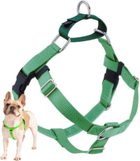 2 Hounds Design Freedom No Pull Dog Harness - Neon Green / LG (Chest 28" - 32")