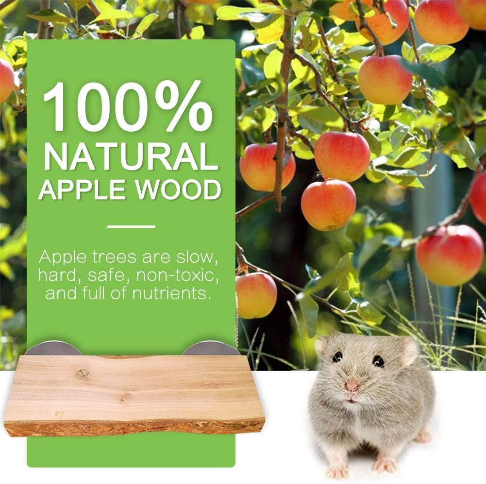 2Pcs Chinchilla Wood Ledge Hamster Wooden Flexible Platform Perch - 6 × 2.6 inch - image 3