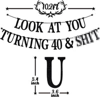 Black Glitter Look at You Turning 25 & Sh*t Banner - 40 - image 2