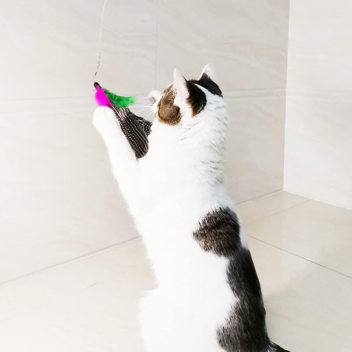 Cat Feather Toys Refills, 6 Pieces Handmade Da Bird Feathers Refill, Cat Wand Replacement Feather - D-8 PCS Feather Refills - image 4