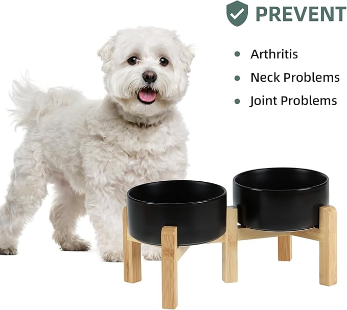 Ceramic Raised Double Bowls Set with Stand, 2 Heights Elevated, Food & Water Bowls for Small Breed Dogs, Weighted Dog Dishes, Pet Bowl(6.1'',28.7oz, Black)