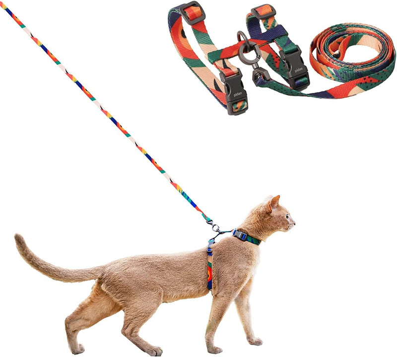 pidan Cat Harness and Leash Set - Tropical Multicolor / M