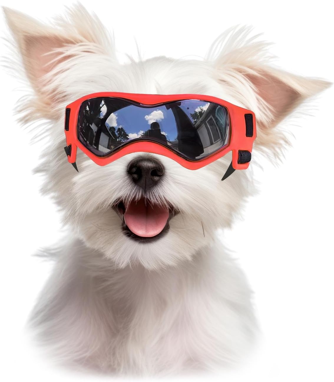 Dog Sunglasses for Extra Small Breed UV Protection Windproof XS Dog - Small / Orange