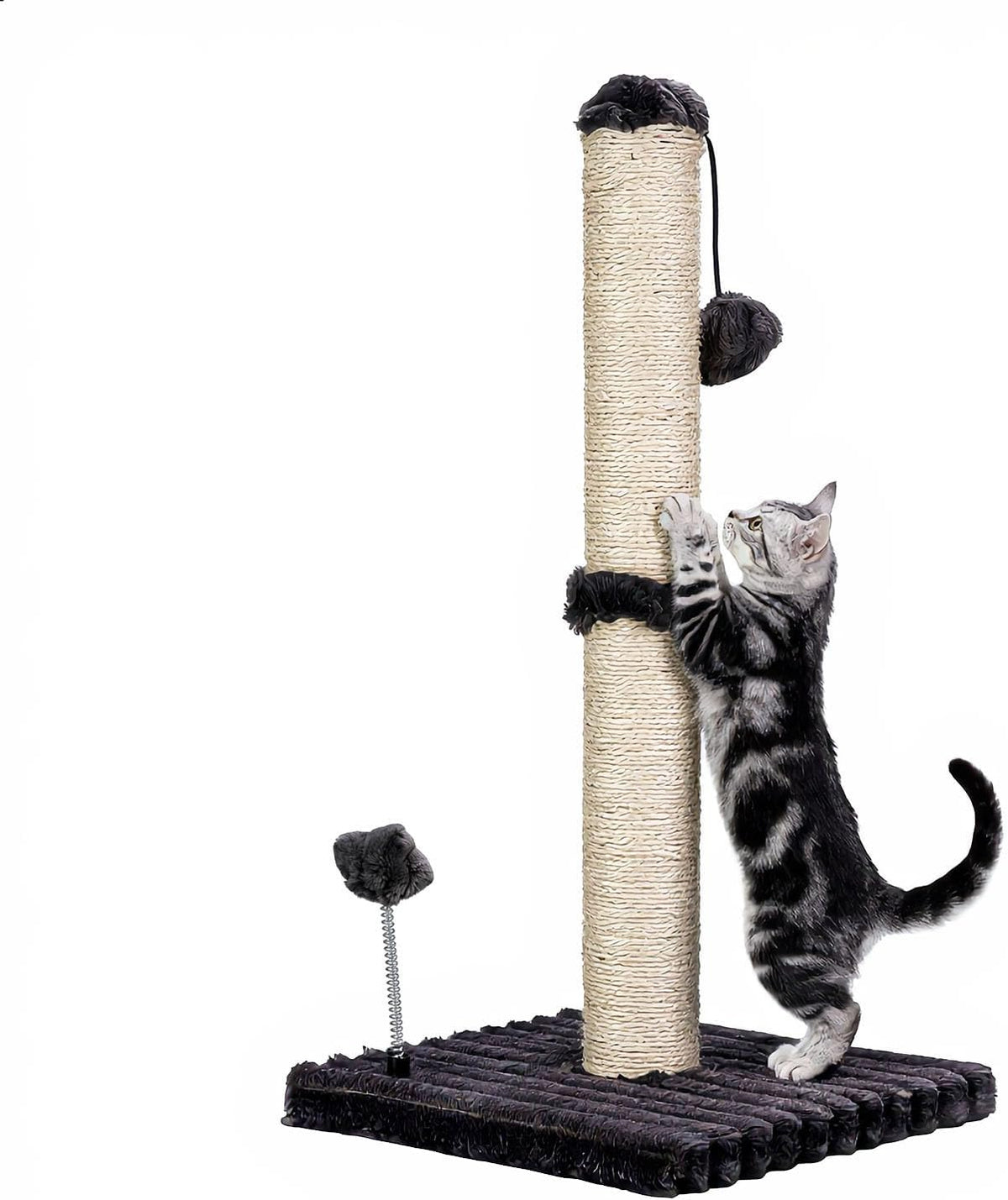 MECOOL 34” Tall Cat Scratching Post Premium Basics Kitten Scratcher - 22 inches for kitten / Charcoal Gray