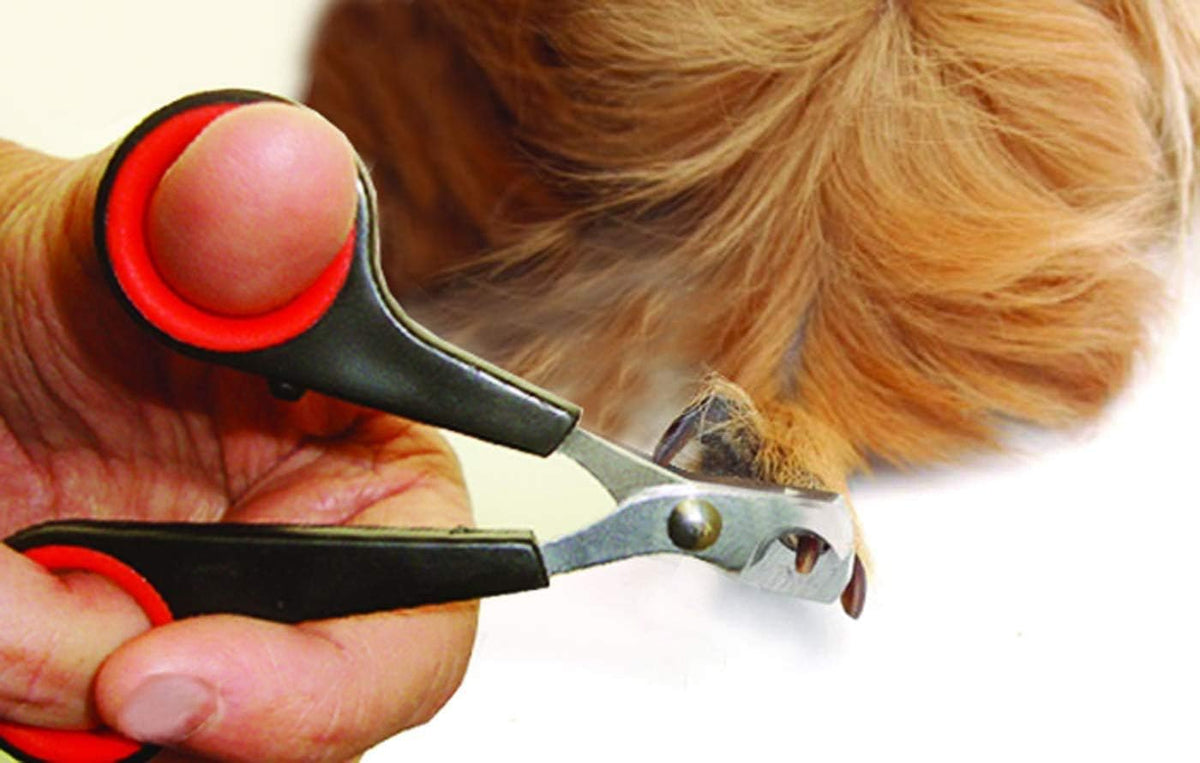 Lixit Grooming Kits For Rabbits - Red / 2 Piece Kit - image 2