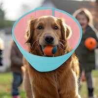 Inspack Soft Dog Cone Collar Alternative, E Cones for Medium Small Dogs/Cat to Stop Licking After Surgery, Neuter Recovery Ecollars of Shame Alternatives, Comfortable Paws Comfy Elizabethan Collars