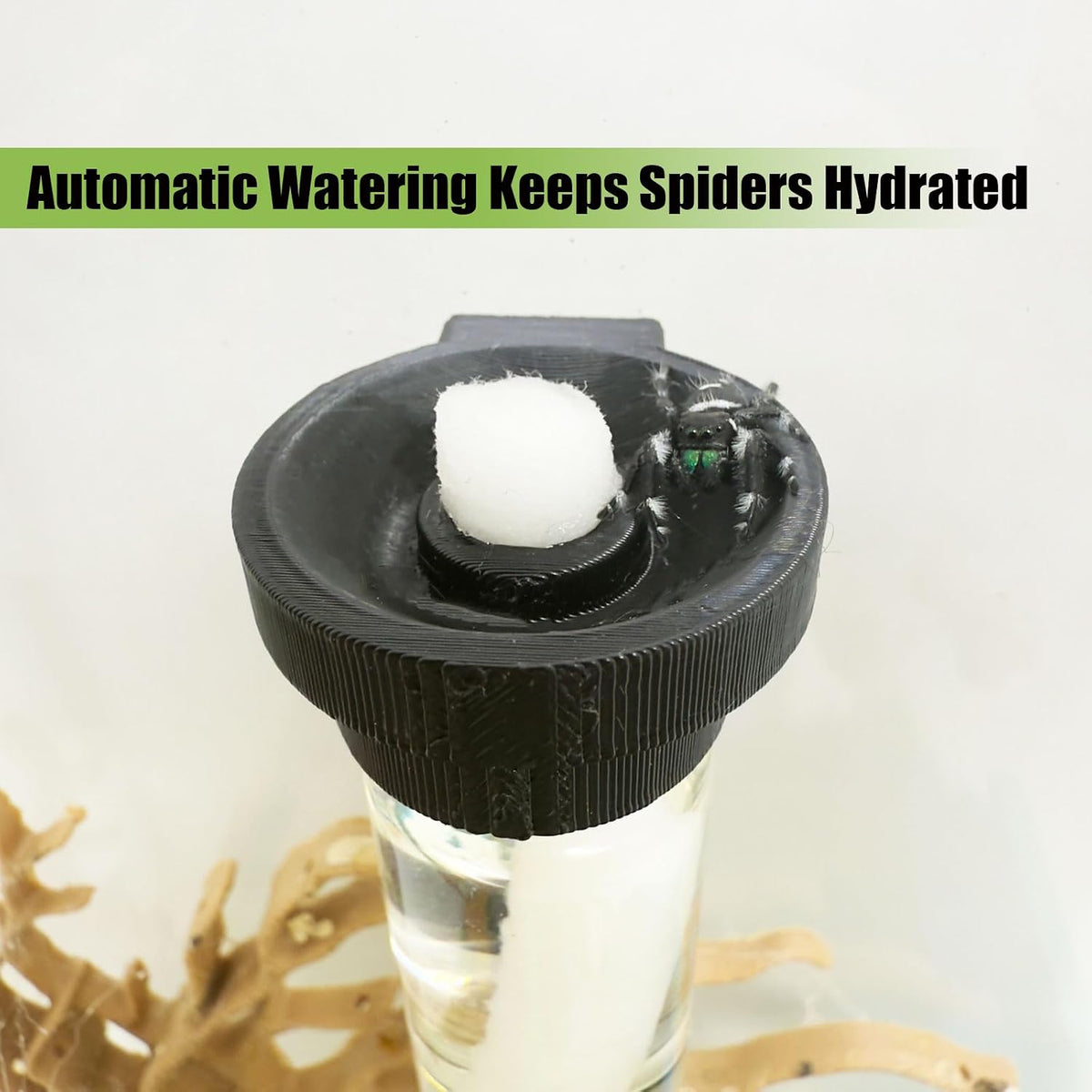 Jumping Spider Water Dispenser, Magnetic Hanging Feeder - Black / 15ML - image 2