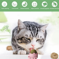 Oncpcare 3 Pack Rotatable Edible Catnip Balls for Cats Wall Cat Mints Ball Toys for Indoor Cats Cat Removal Hairball Toys Catnip Balls Treats for Kitten Kitty Playing Chewing