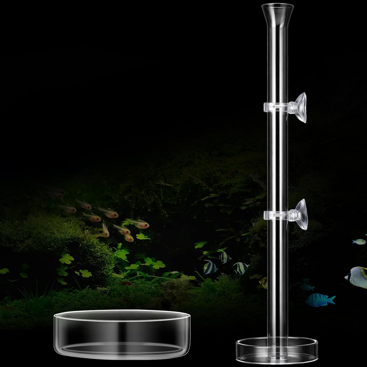 CHENGU 3 Pcs Shrimp Feeding Tube and Dish - 14" + 2 Tray