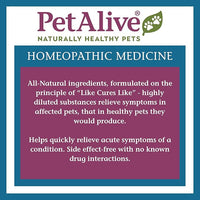Native Remedies 352411 PetAlive® RespoCough Protect ComboPack for Pets