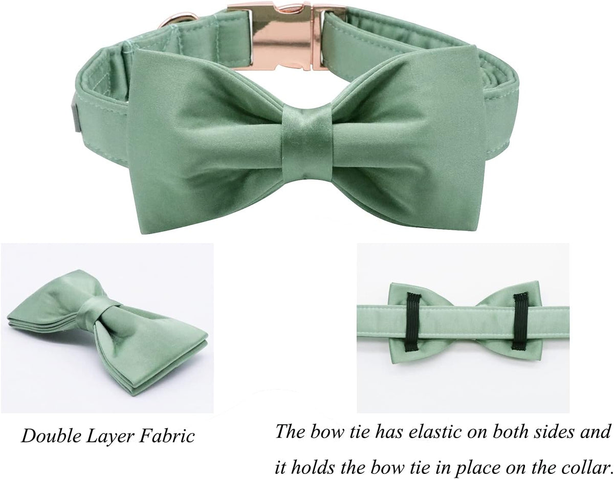 Lionet Paws Bowtie Dog Collar - Small (Pack of 1) / Grass Green - image 3