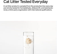 pidan Tofu Cat Litter Clumping,Flushable,Ultra Absorbent and Fast Drying, 100% Natural Ingredients Litter,Solubility in Water,Really Dust-Free,Less Scattering (5.3lb×2bags)