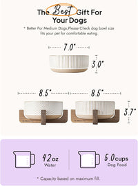 Ceramic Dog and Cat Bowl Set with Acacia Wood Stand - L-5 Cups / Lines+Dot - image 4