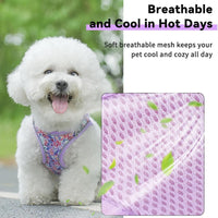 Step in Dog Harness and Leash Set, Pet Vest Harness - Pink / S - image 3
