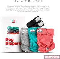 Pet Parents® Washable Dog Diapers (3pack) + Extendrs® of Durable Doggie Diapers, Premium Dog Diapers Female (Large, Southern Belle)