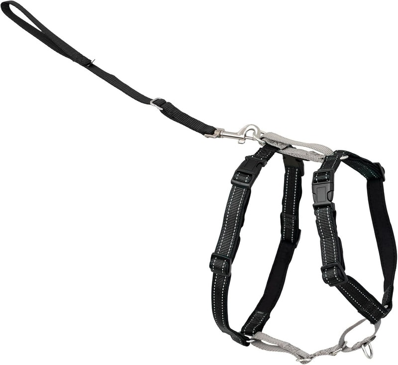 PetSafe 3 in 1 No-Pull Dog Harness, Walk, Train or Travel - Black / Large (Pack of 1)