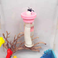 Jumping Spider Water Dispenser, Magnetic Hanging Feeder - Pink / 15ML