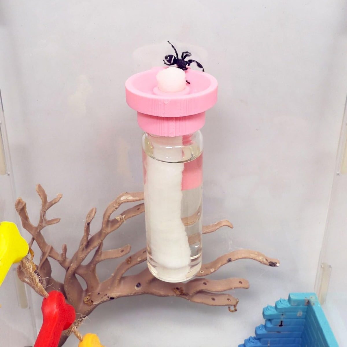 Jumping Spider Water Dispenser, Magnetic Hanging Feeder - Pink / 15ML