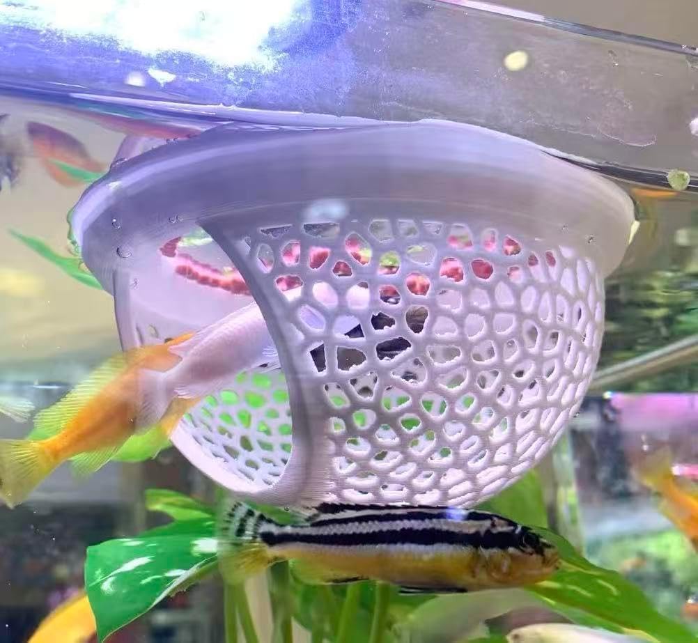 2pcs Wood Fish Feeding Ring for Aquarium，Floating Betta Hammock - White / 1pcs big and 1pcs small floating version