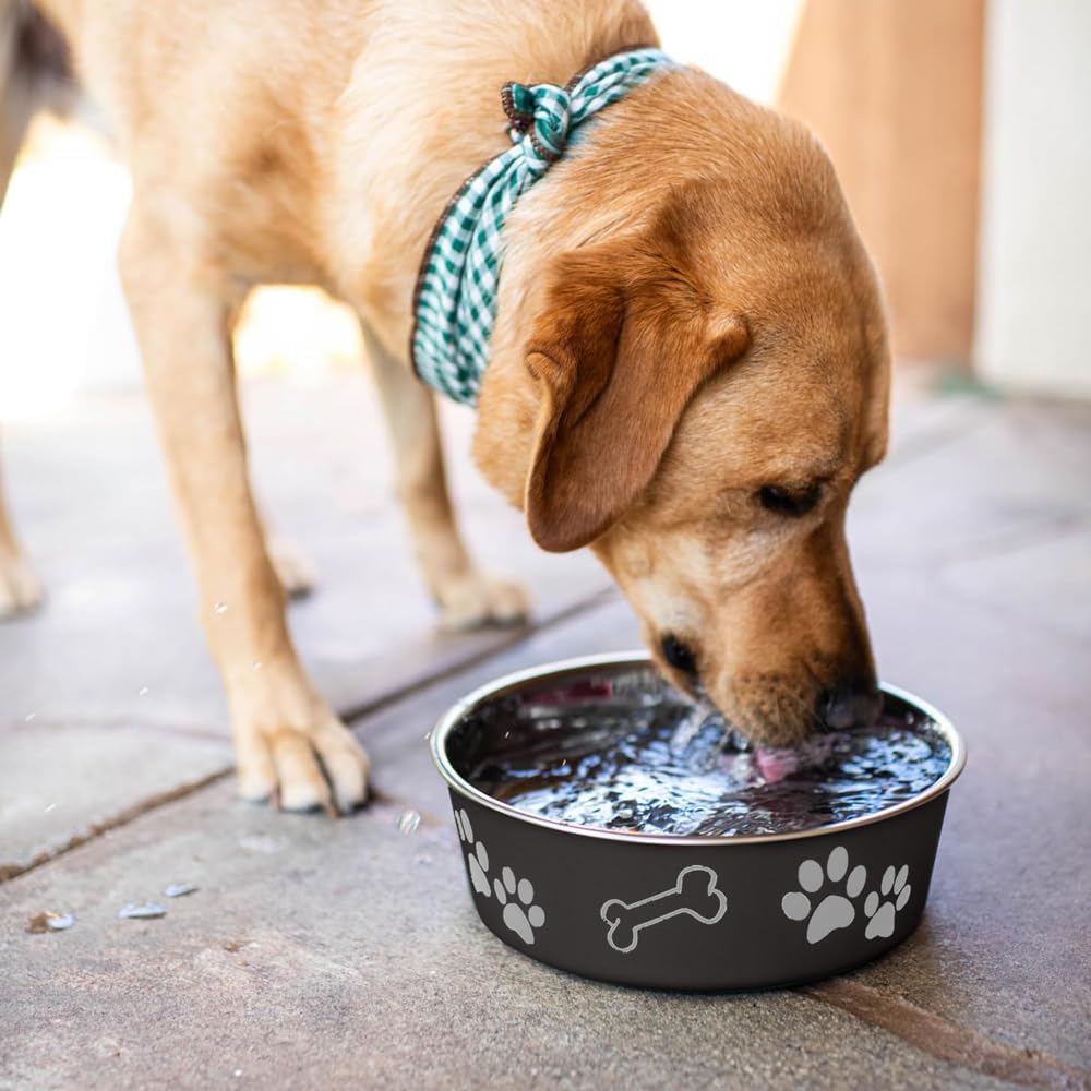 Loving Pets Bella Dog Bowls, Stainless Steel Dog & Cat Bowls - Espresso / X-Large (65-100lbs) - image 3