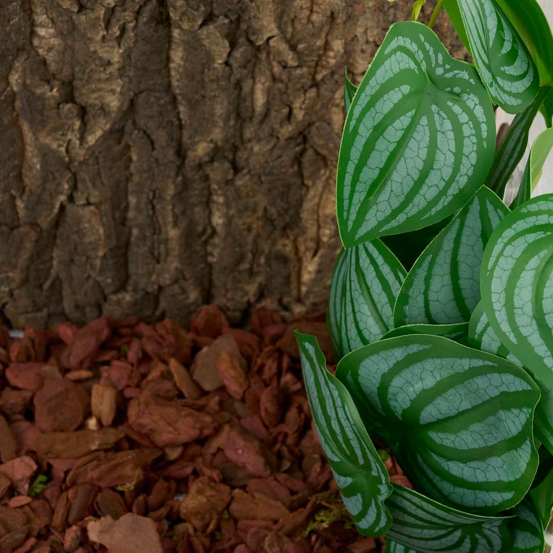 Fake Calathea Orbifolia, Reptile Terrarium Suction Plants – Essentials for Fish - Fake Calathea Orbifolia - image 4