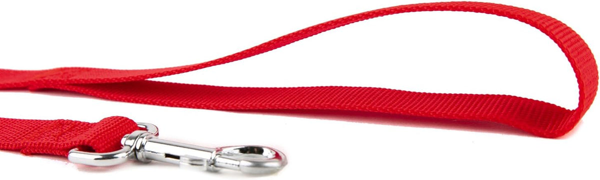 Nylon Dog Training Leash, Traction Rope - 3/4'' x 6 FT / Red - image 3