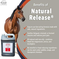 Natural Release Muscle Spray Treatment - Horse Liniment for Sore Muscles, Joint Pain, Tendon & Inflammation Relief - Easy to Use, Fast Acting, Alcohol & Menthol Free (1 Gal)