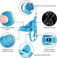 Plutus Pet No Pull Dog Harness with Front Clip - M: chest 19.7"-25.2" / Cyan - image 2