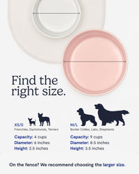 Fable Pets Ceramic Dog Bowl and Cat Dish - XS/S / Dark Shadow - image 3