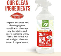 Only Natural Pet Advanced Dog Stain + Odor Remover with Oxy, All-Natural Professional Strength Enzymatic Cleaner - Pet Stain and Urine Odor Remover- 32 Fl Oz