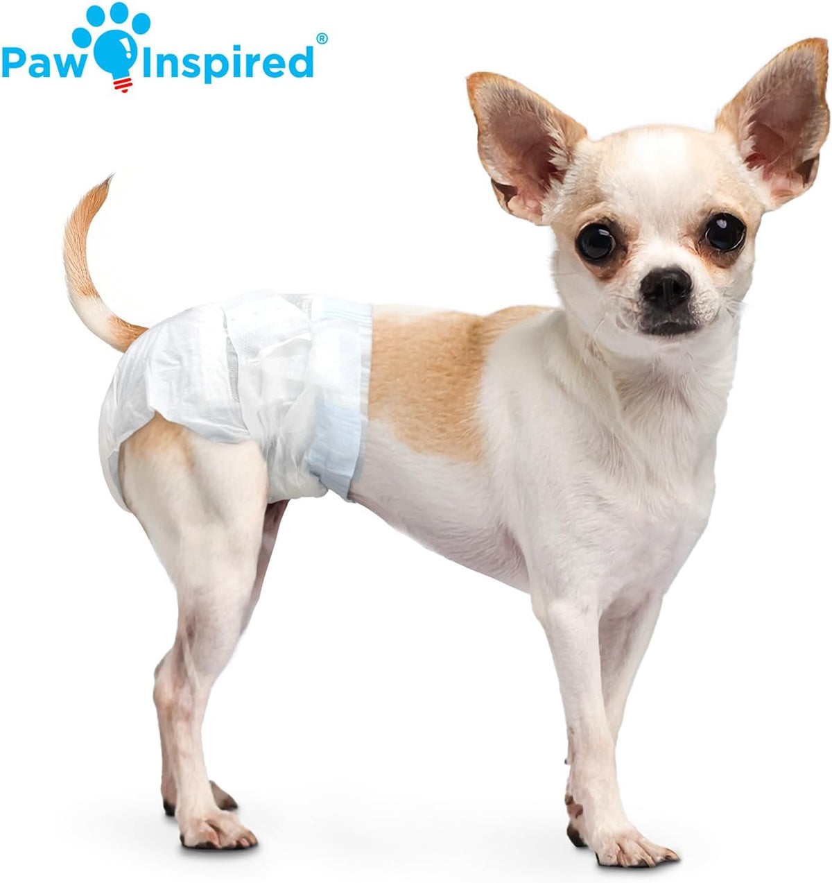 Paw Inspired 32ct Disposable Dog Diapers - XX-Small/Toy (32 Count) - image 3