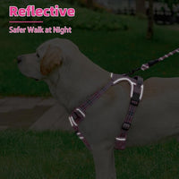 PUPTECK No Pull Dog Harness Small Sized, Adjustable Reflective Dog Harness with Handle Easy Control, Comfortable Soft Padded Pet Vest Harness for Small Dogs, Plaid Pink S