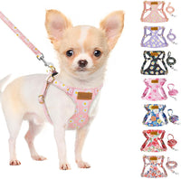 SlowTon No Pull Dog Harness with Leash for Small Medium Dogs - Small(11-17.5lb) / Pink Daisy