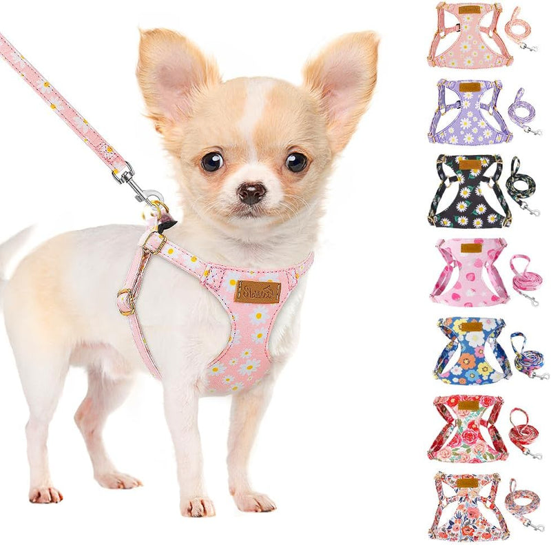SlowTon No Pull Dog Harness with Leash for Small Medium Dogs - Small(11-17.5lb) / Pink Daisy