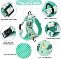 Dog Cat Harness and Leash Set - Avocado / M (Neck 13.4"-16.5"; Chest 17.7"-23") - image 2