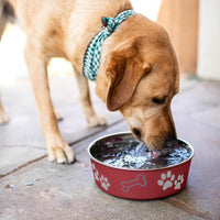 Loving Pets Bella Dog Bowls, Stainless Steel Dog & Cat Bowls - Merlot / Small (10-20lbs) - image 3