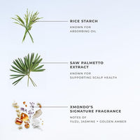 XMONDO Hair BOOST X Dry Shampoo, Zero Residue, Formulated with Saw Palmetto to Promote Scalp Care, Clinically Tested, Dermatologist Tested, Talc-free, Benzene-free, Free of aluminum starch, 5 oz