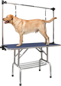 ROOMTEC 46" Dog Grooming Table - Blue / 46in