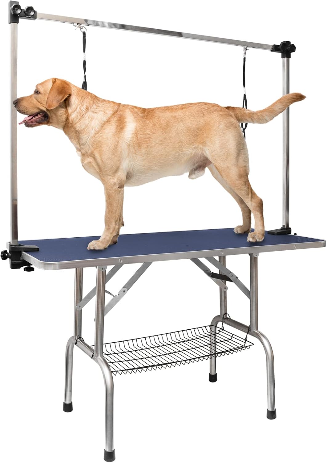 ROOMTEC 46" Dog Grooming Table - Blue / 46in