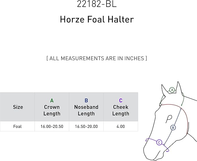 HORZE Adjustable Nylon Horse Halter for Foals, Colts, Fillies, Mini Horse Halter | Comfortable Small Horse Halter with Sturdy Buckles - Black - Foal