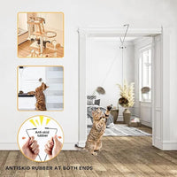 Cat Toys for Indoor Cats,Interactive Door Hanging Cat Toys Attached with Catnip/Feathers/Birds/Worm Toys for Cats/Kitten Toys(3 Pack)