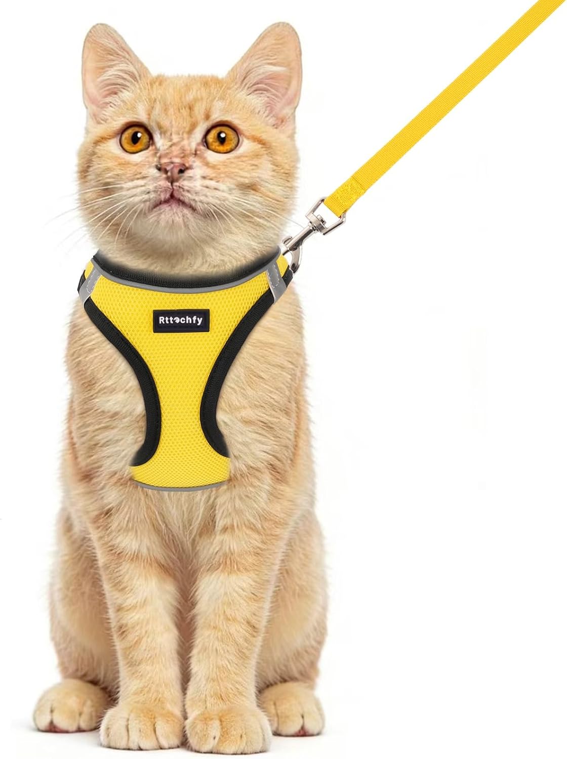 Rttochfy Cat Harness and Leash Set, Escape Proof Kitten Harness - L (Chest:17.5"-19.5") / BK Yellow
