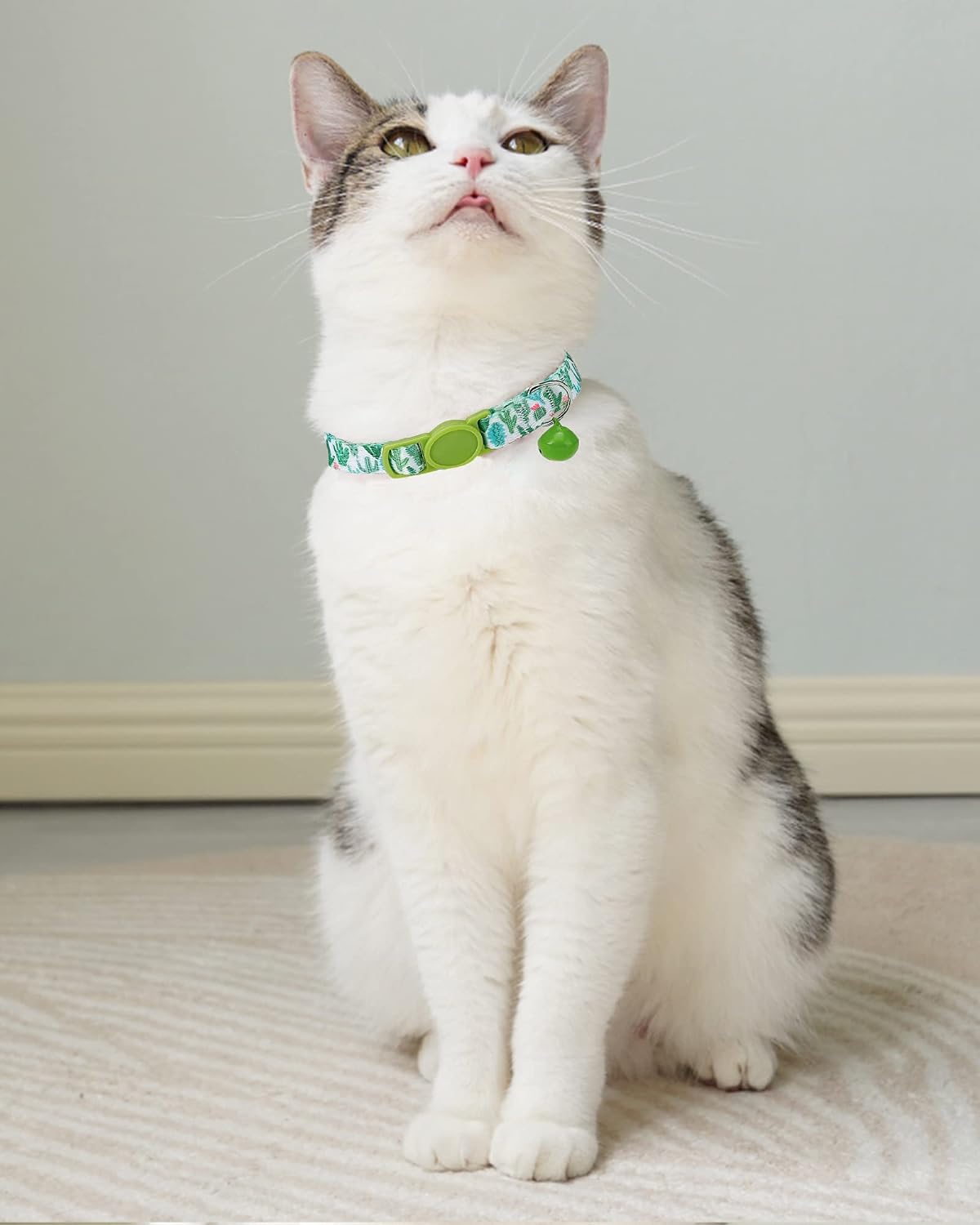 SOLMOONY Cute Cat Collar for Girl Boy - Cactus - image 2