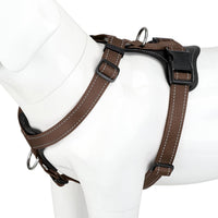Plutus Pet No Pull Dog Harness with Leather Accents - M / Chocolate